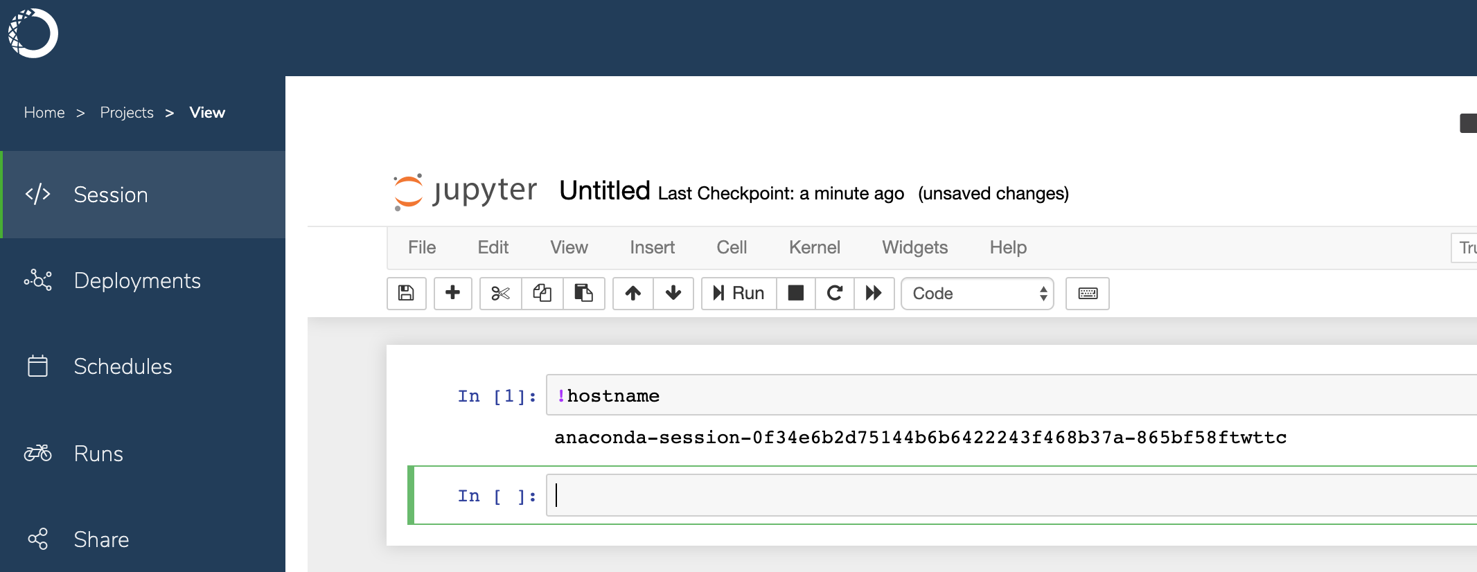 _images/notebook_hostname.png