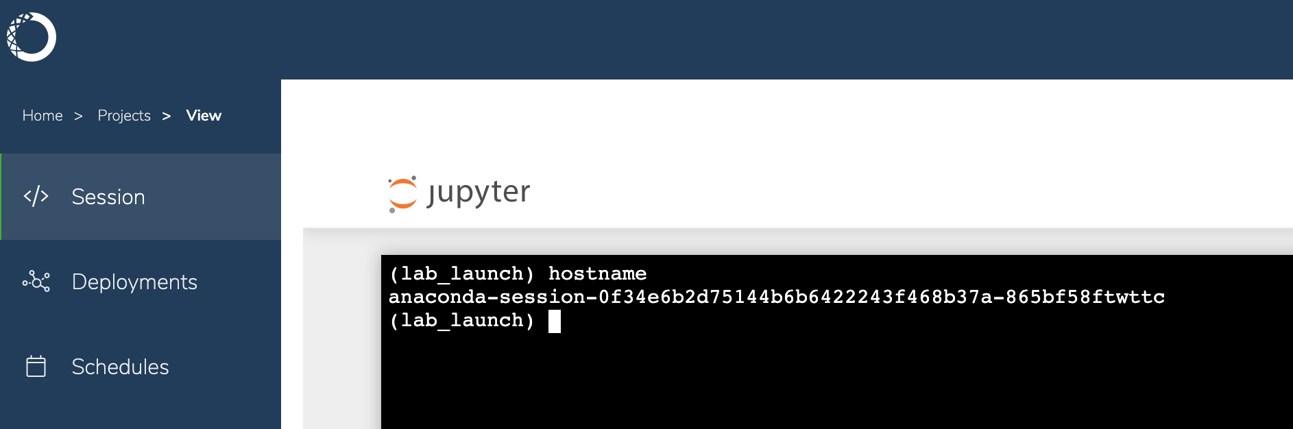 _images/terminal_hostname.png