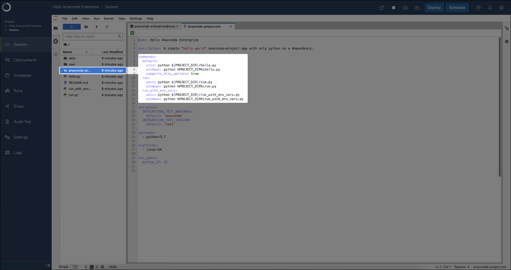 ../../_images/ae5_deployment_commands.png