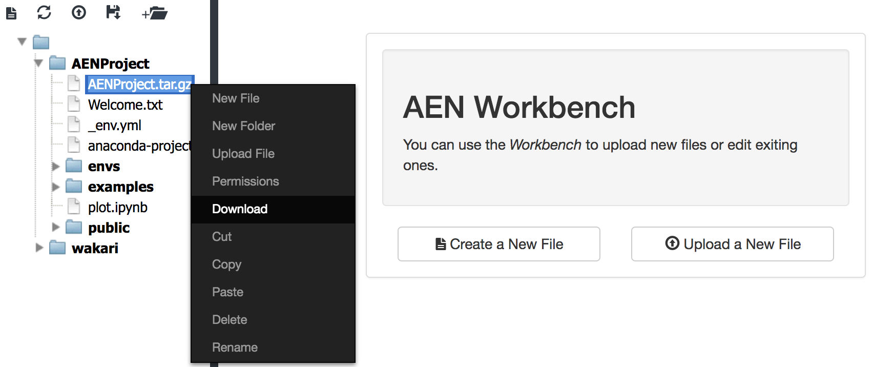 ../_images/ae50-AENProject.png