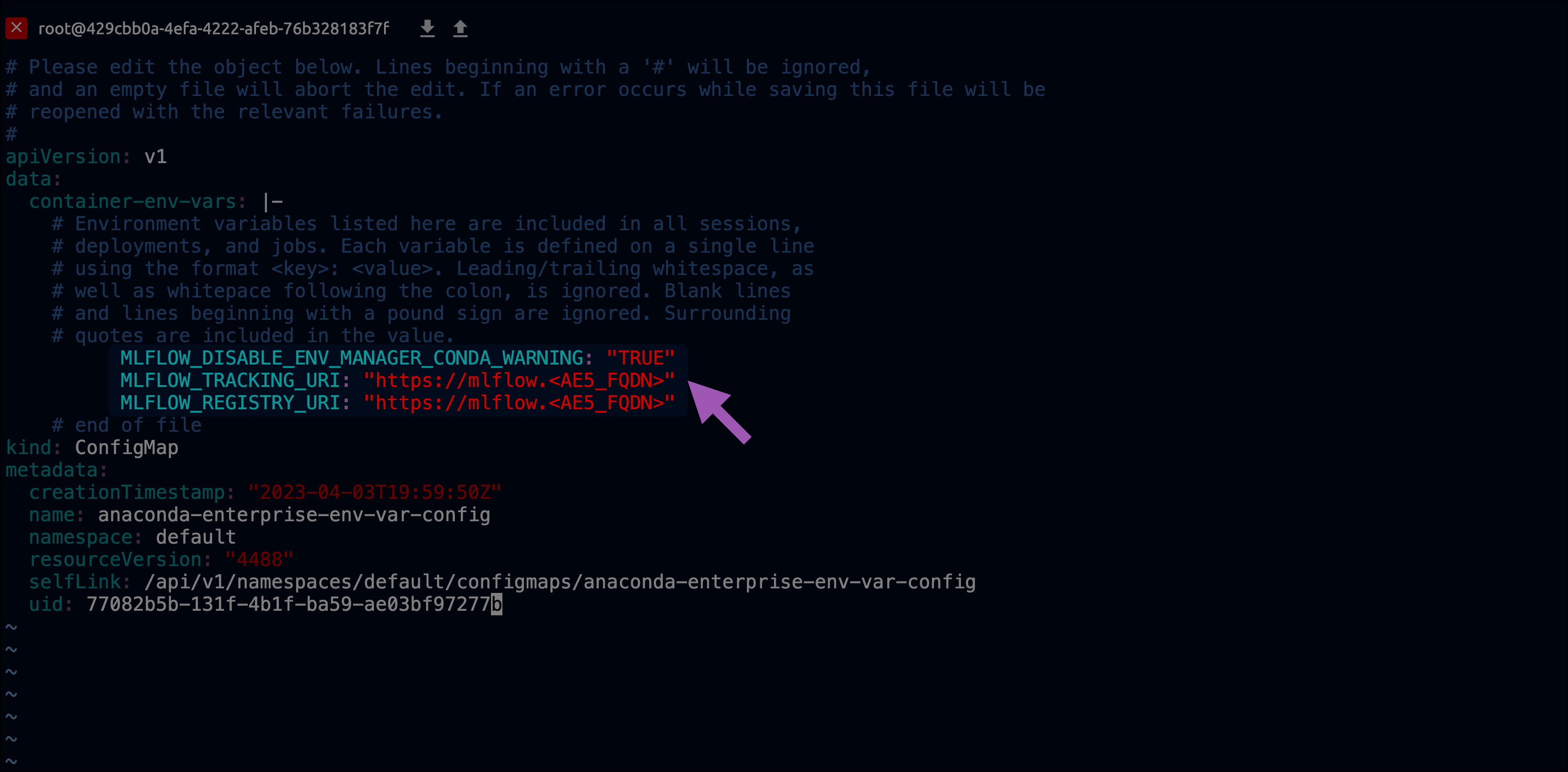 ../../_images/ae5_mlflow_env_var_config_file.png