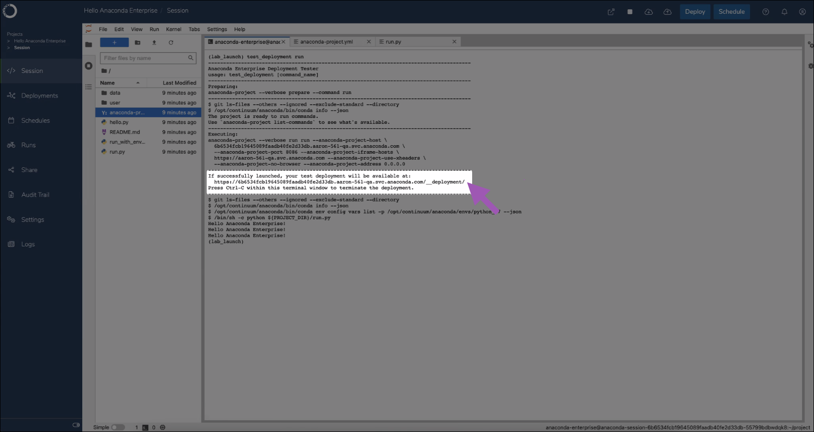 ../../_images/ae5_test_deployment.png